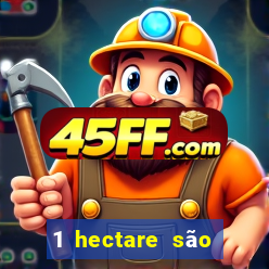 1 hectare são quantas tarefas na bahia